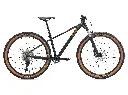 BICICLETA MTB LIV TEMPT 29 0 MY25